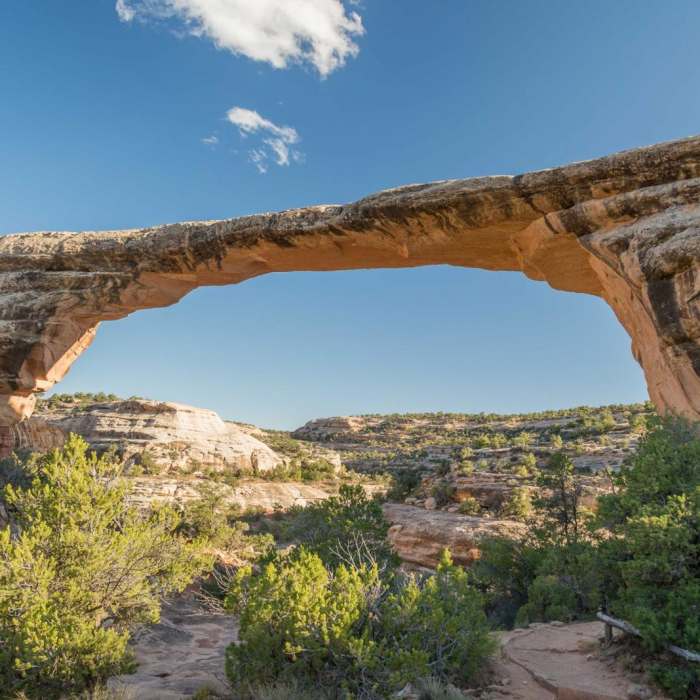 Near Owachomo Bridge Out and Back