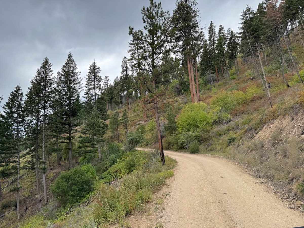 Upper Pierce Creek trail photo