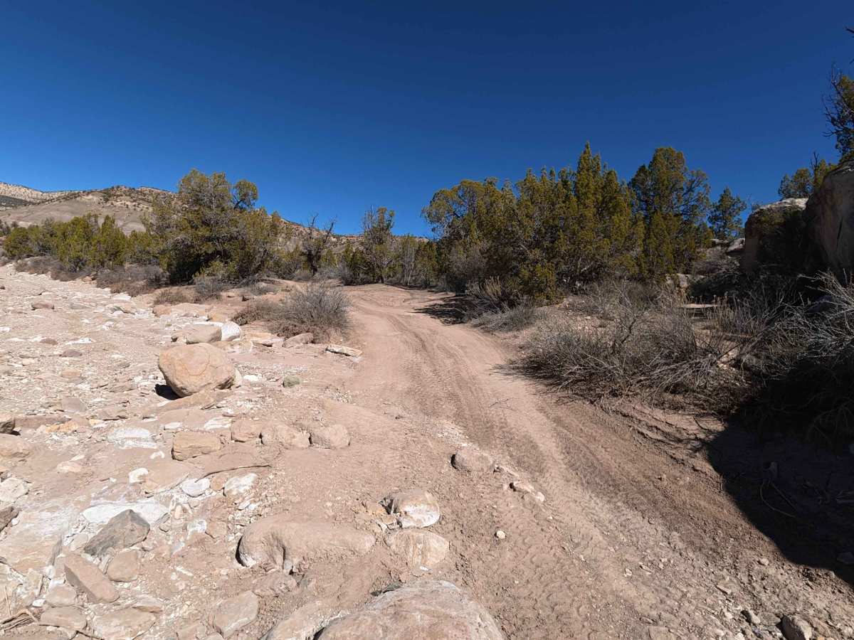 BLM 282 photo 4