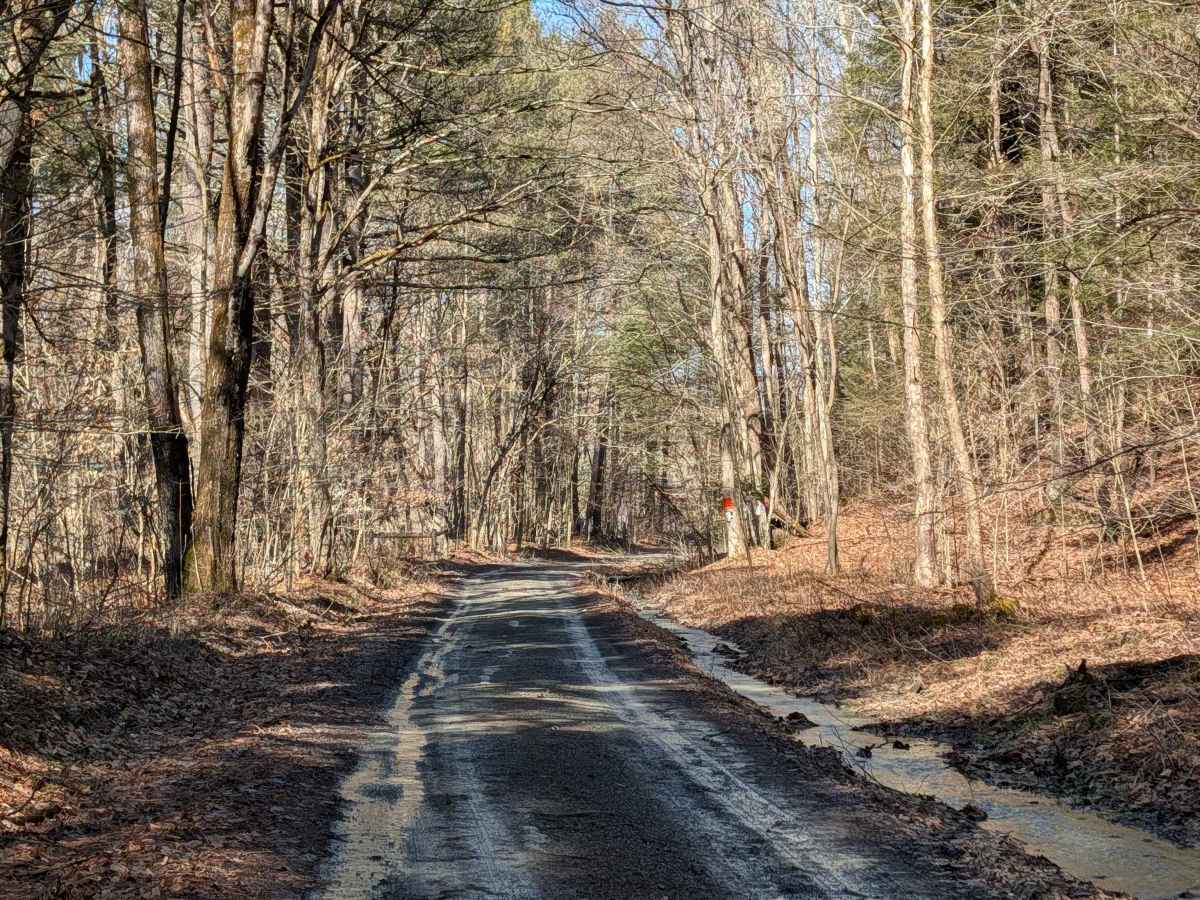 Stone Jug Road photo 6