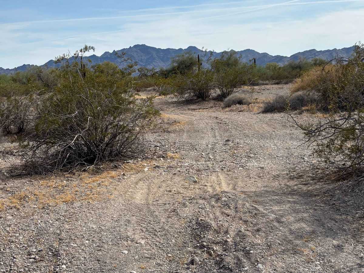 BLM 0141 photo 2
