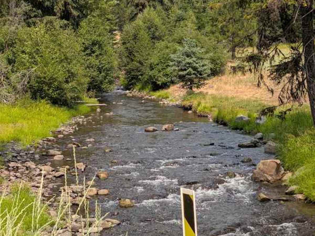 Naneum Basin Road trail photo
