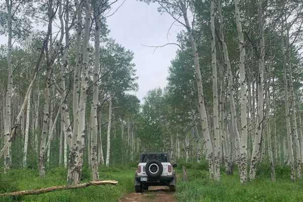 Metcalf Creek Road
