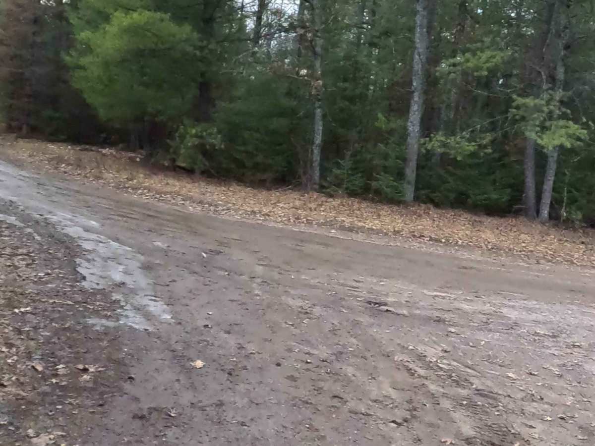 Au Sable Loop - FS 4368 photo 3