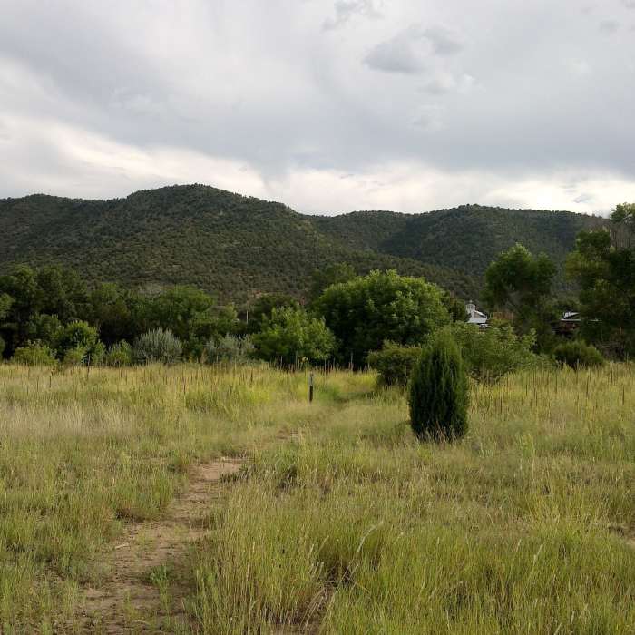 Lincoln Trail facing south. Near Lincoln Trail