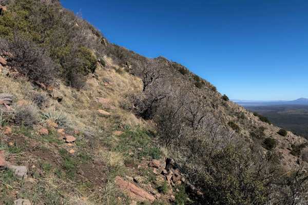 Hyde Mountain Trail #6 