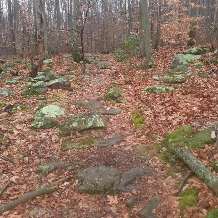 The rocky uphill on Six Penny Trail takes some concentration. Near French Creek State Park Loop with Horseshoe Trail