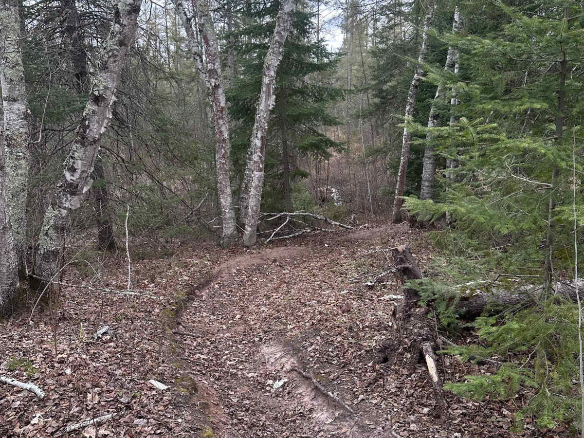 Corduroy Trail photo 5