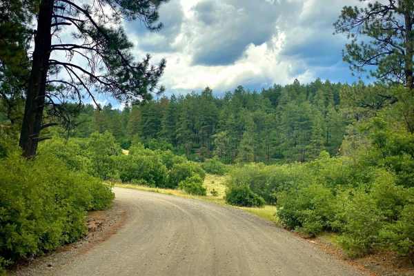 Buckles Lake Road - FS 663