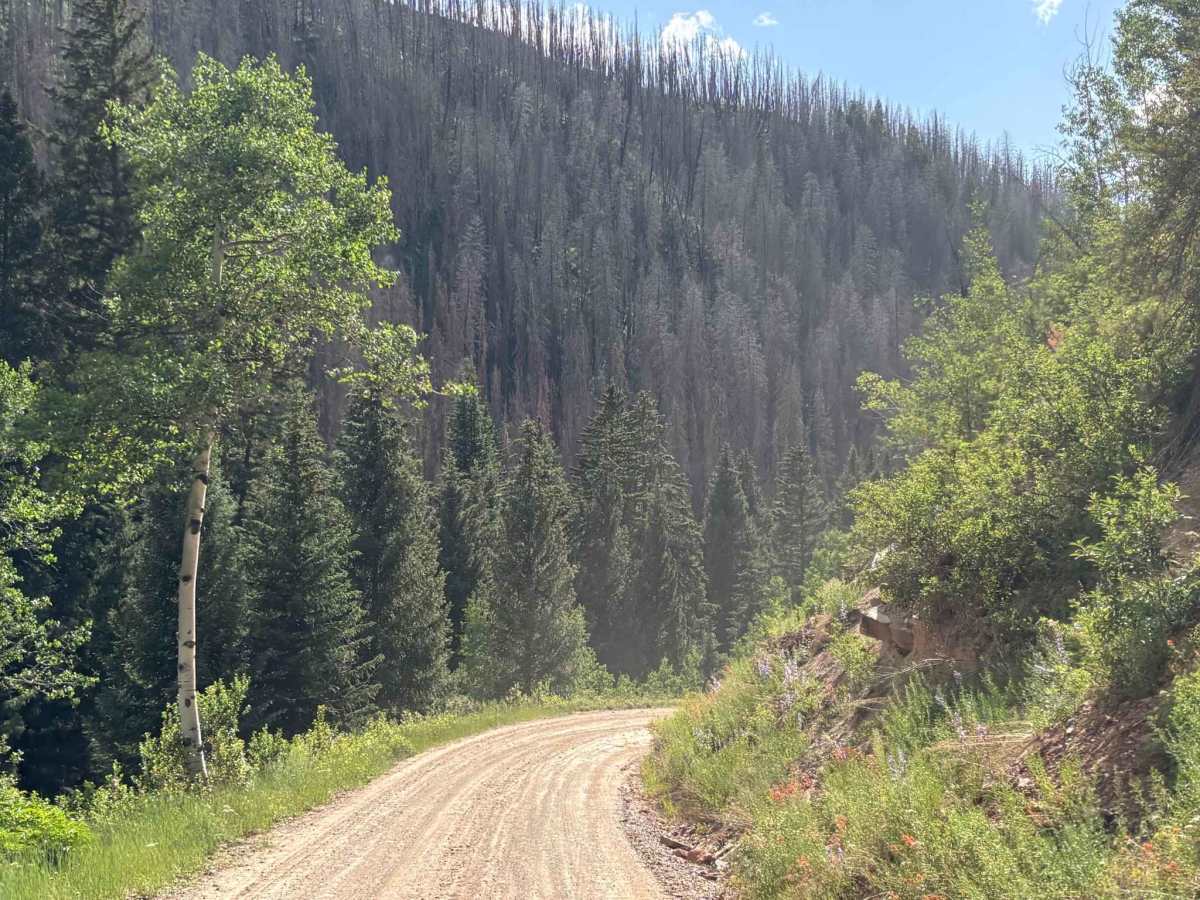 Sylvan Lake Road photo 3