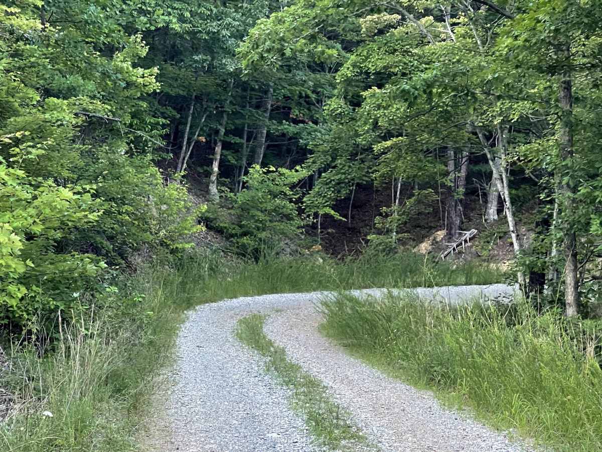 Kelley Hollow photo 5