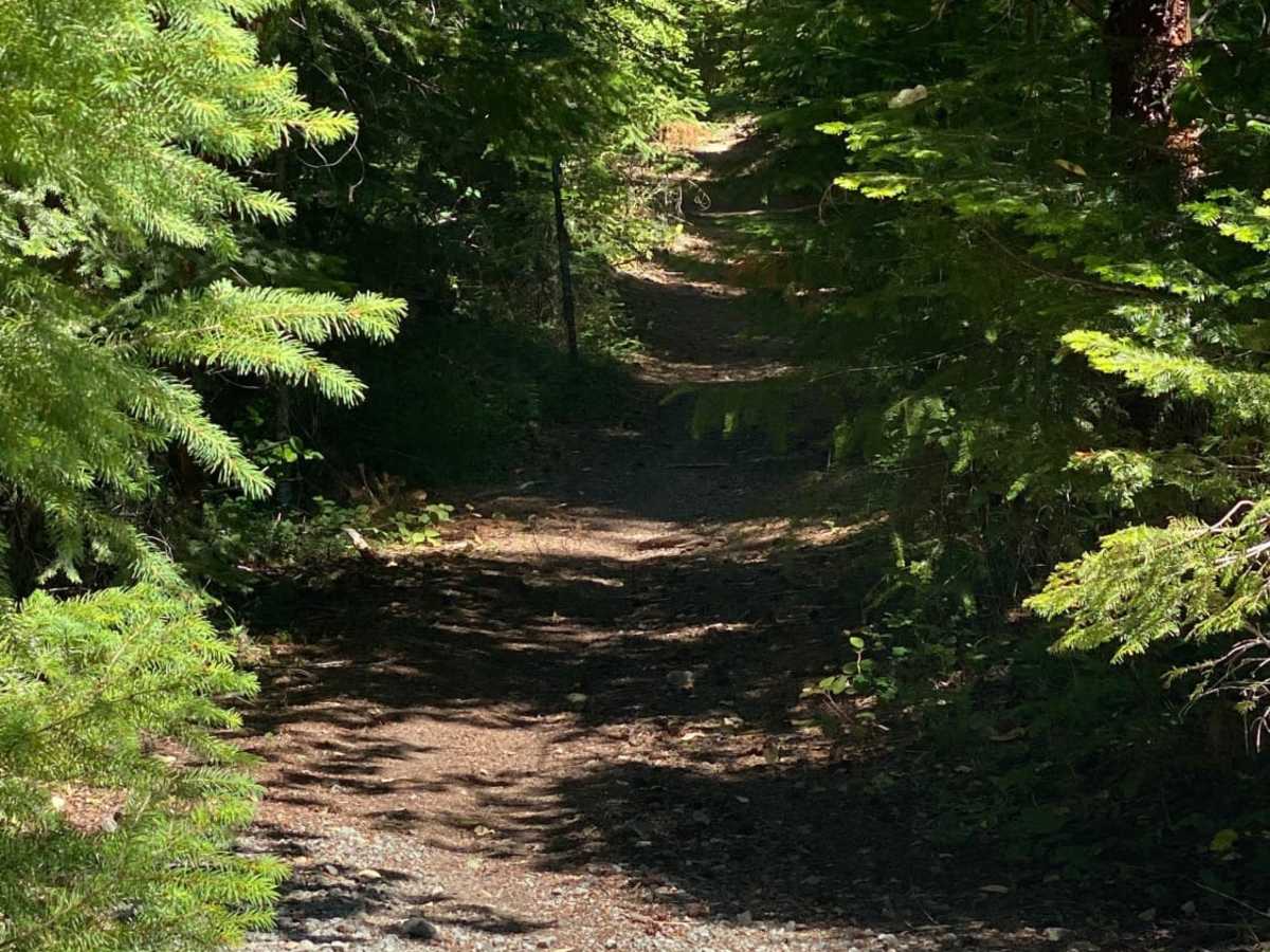 Elderberry Dead End trail photo