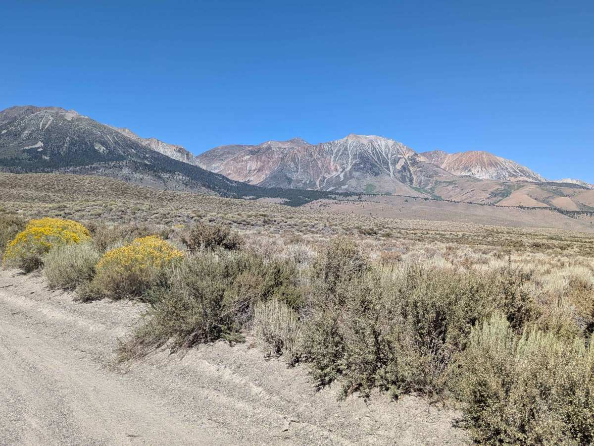 Grant Lake Cutoff photo 3