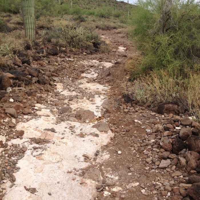 Near Maricopa Regional Trail: Spur Cross to Cave Creek Park