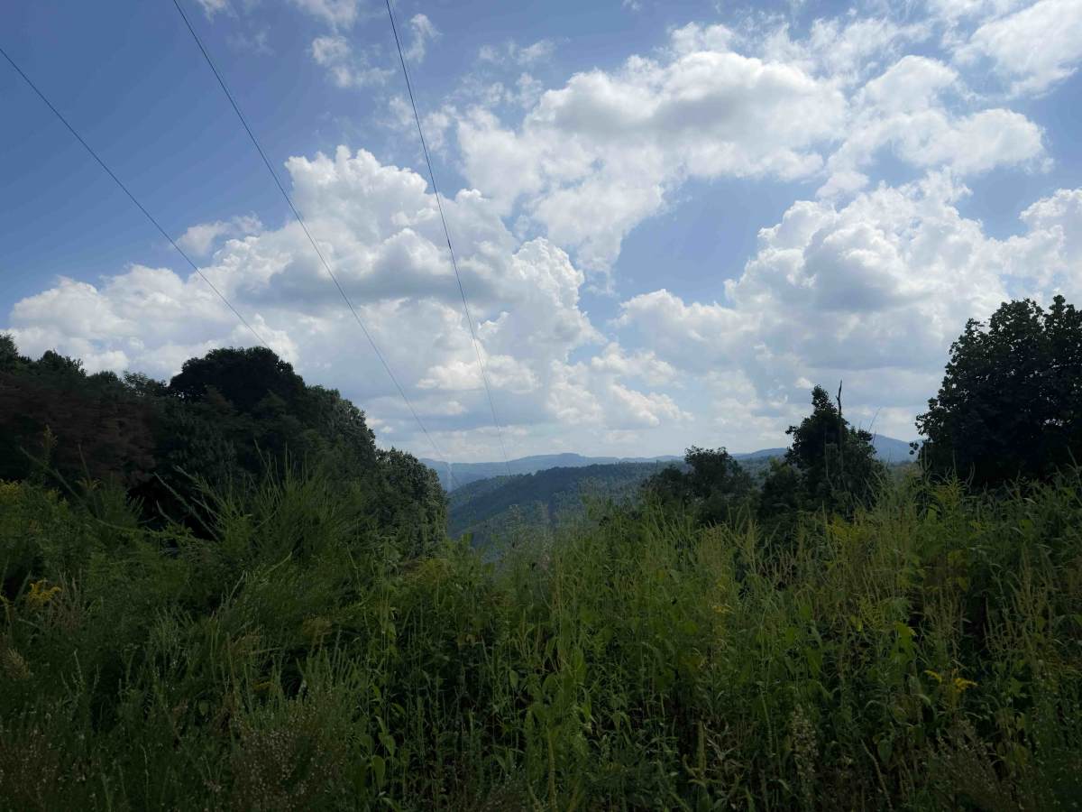 Gibson Knob Road  photo 5