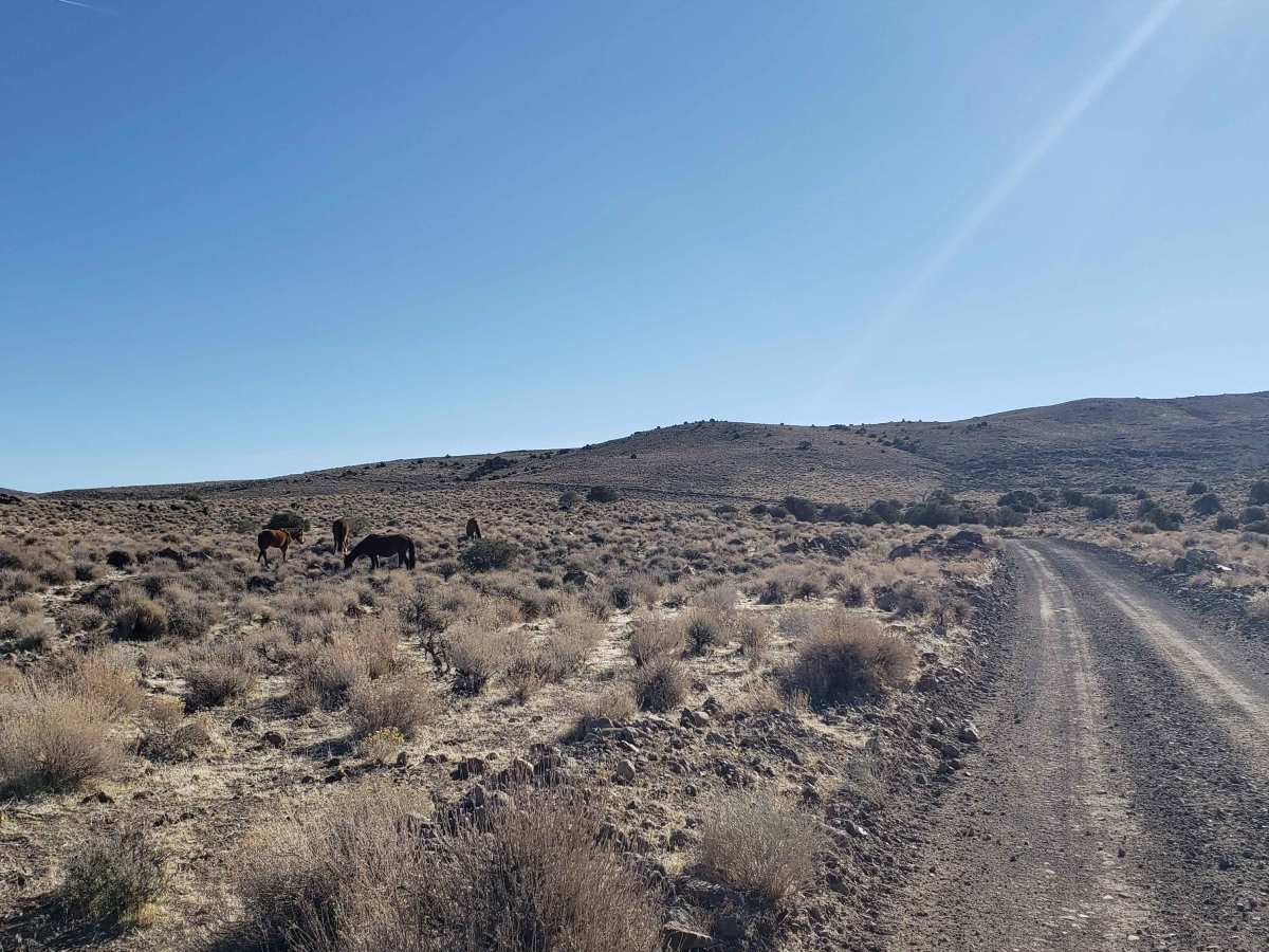 Wild Horse Trail photo 5