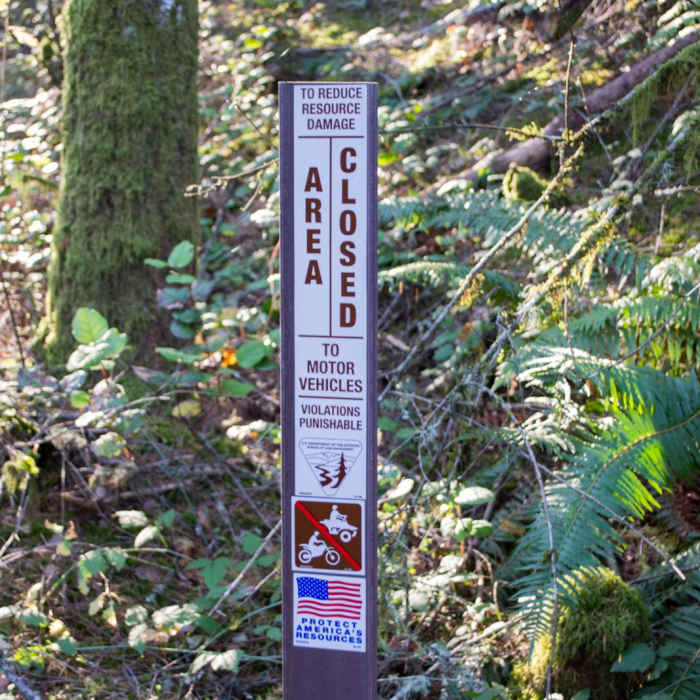 Near Horse Rock Ridge