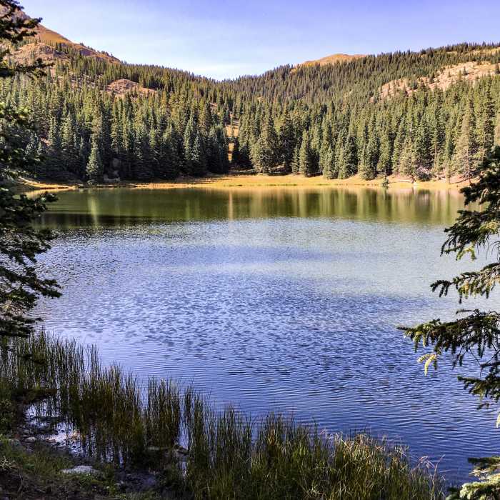 Heart Lake Near Heart Lake Trail #115