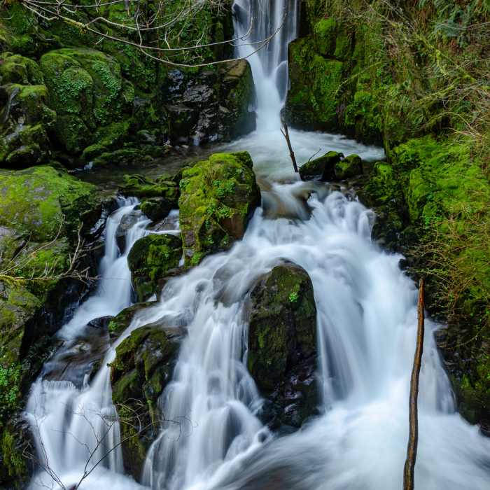 Upper Sweet Creek Falls from Wagon Road Trail Near Sweet Creek Trail #1319