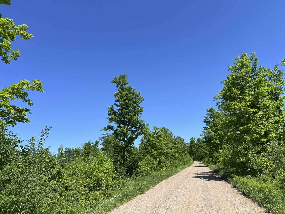 Diamond Roof Road - FS 2123 photo 5