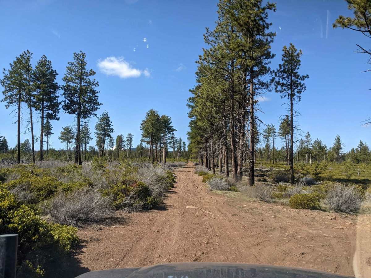 NF-200 trail photo