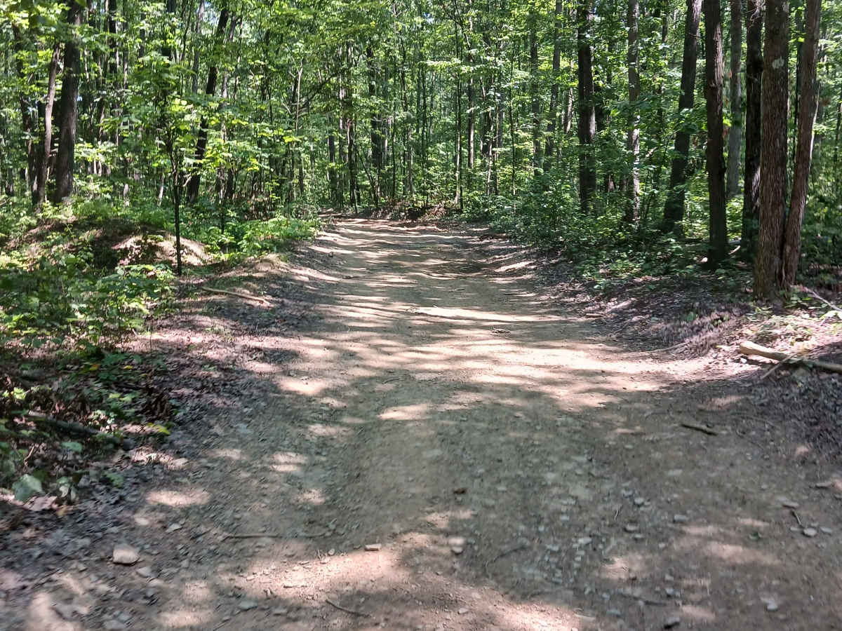 Oak Lane - Rock Run Recreation Area photo 5