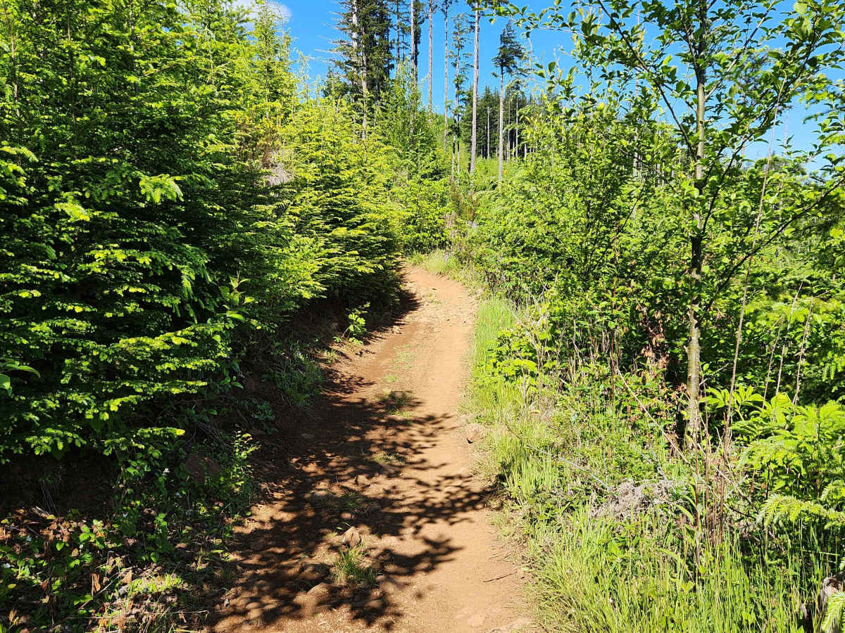 North Rim Trail #2 photo 6