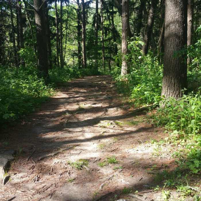 Near Short Hiking Loop