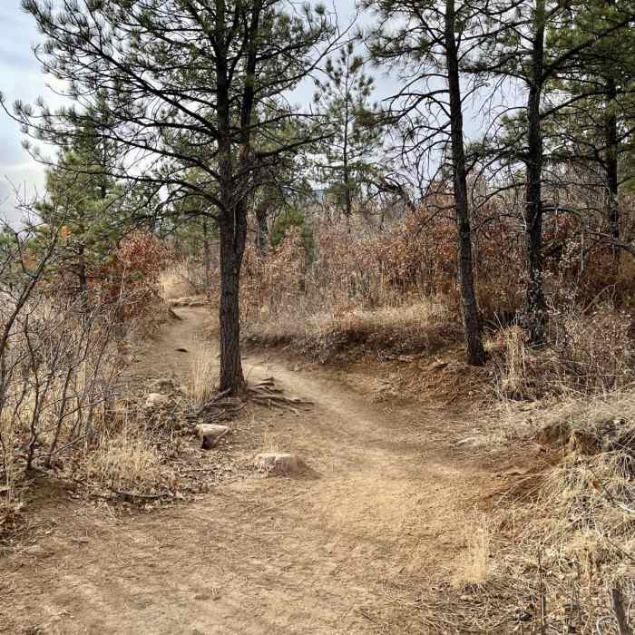 Near Upper Meadows, Ridge, Ponderosa, and Chamberlain Loop