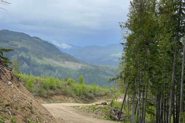 Maks Road