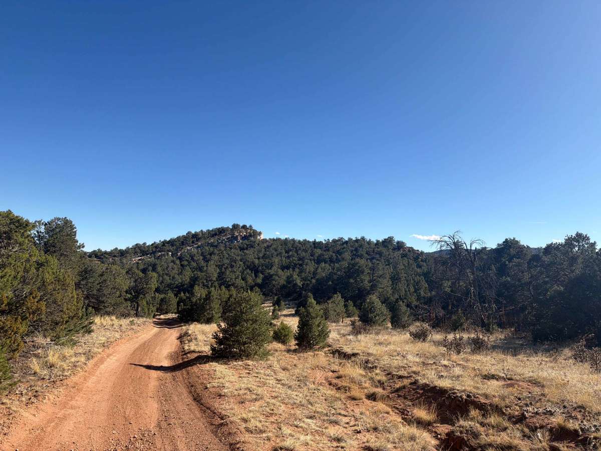 Garza Trail - BLM 5830B photo 6