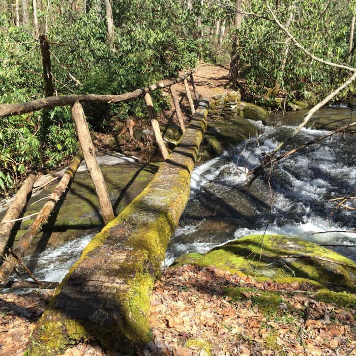 Near Twentymile Loop Trail