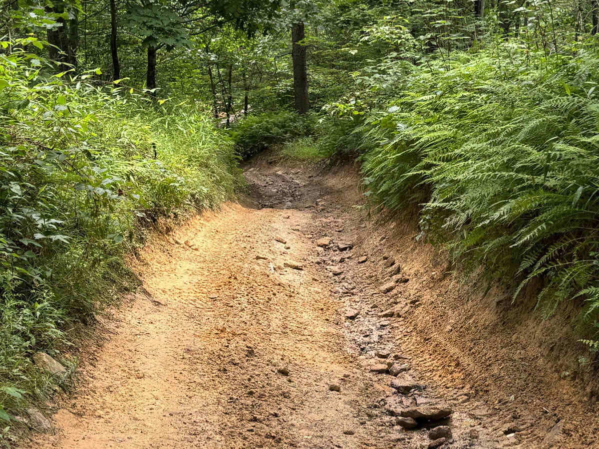 Trail 20 photo 6