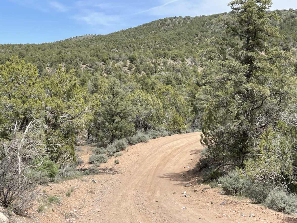 Cove Wash To Magotsu Creek photo 5