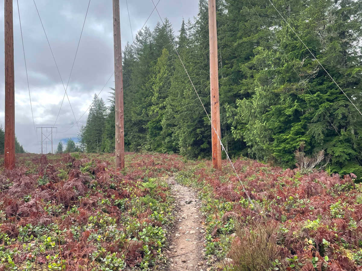 Powerlines photo 2