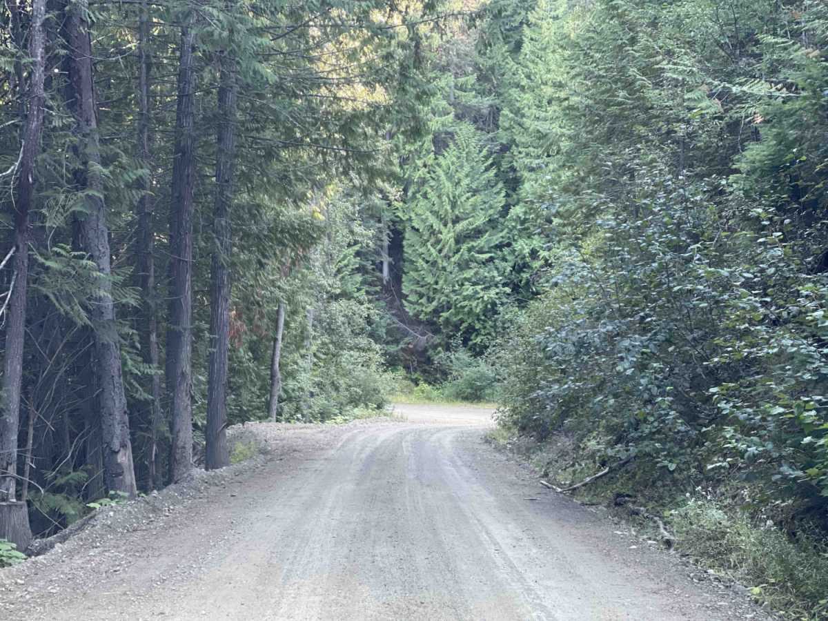 Brewer Road trail photo