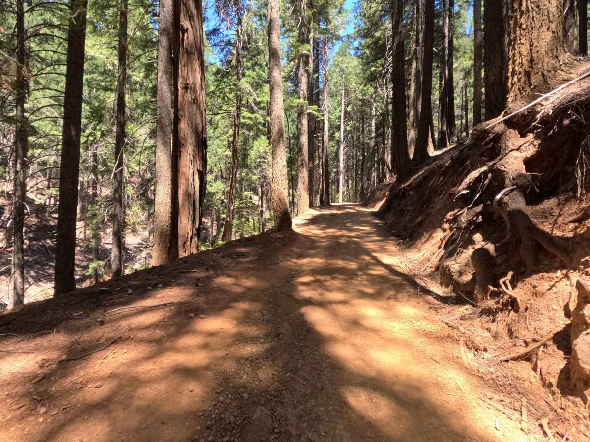 Saddleback Road - CR 509 photo 6
