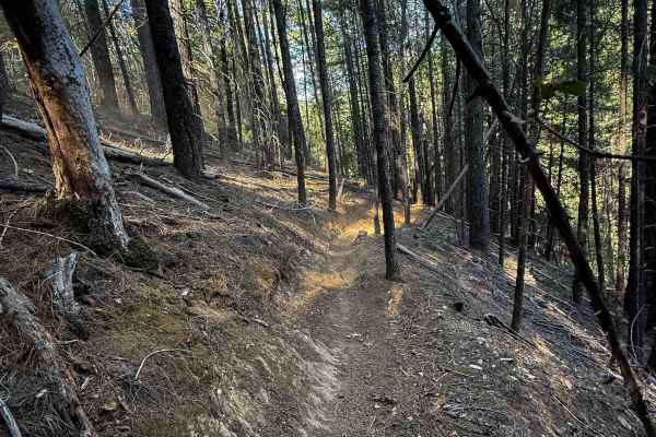 Trail 5-1 (11E32)