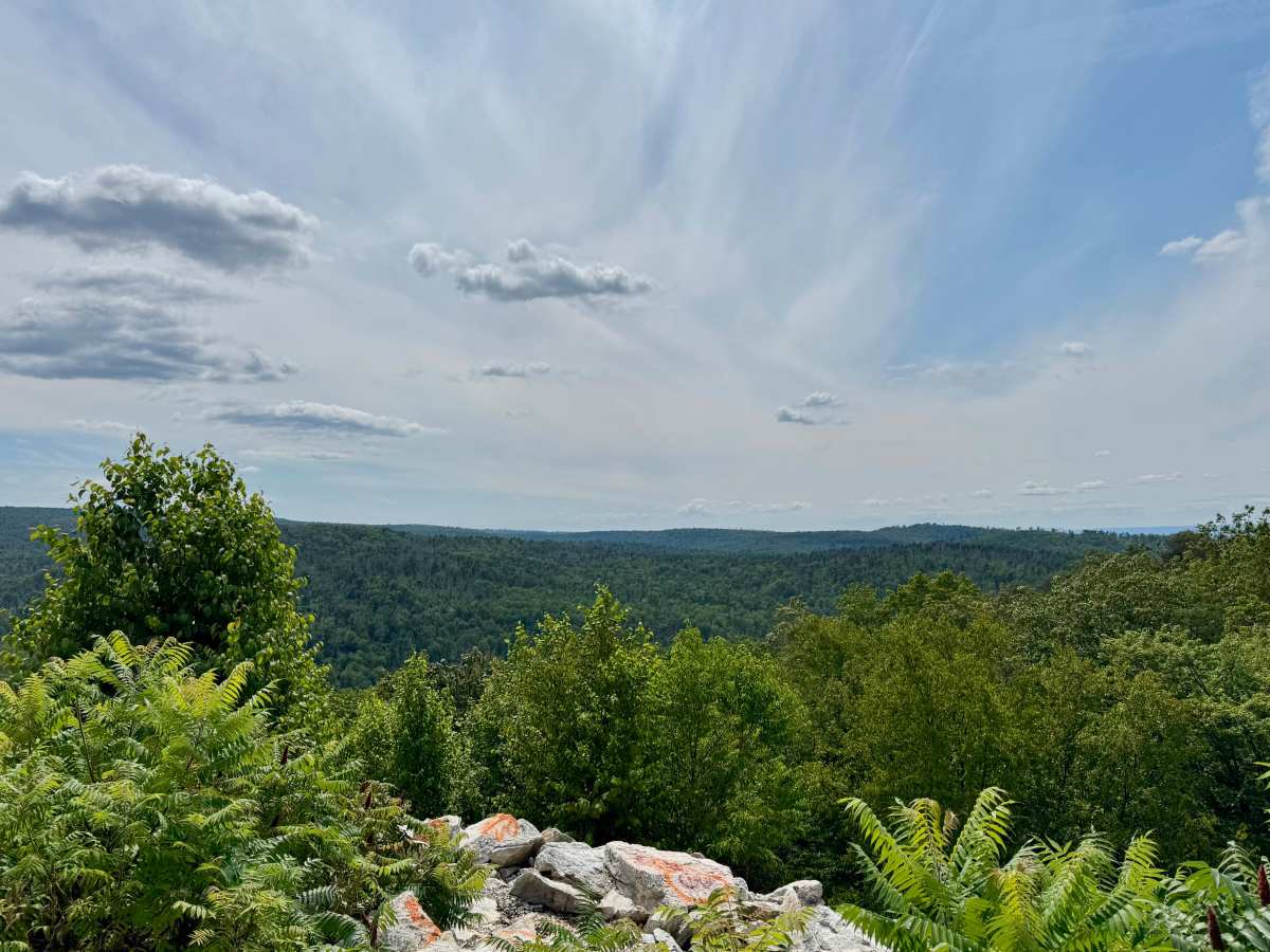 Hogshead Road trail photo
