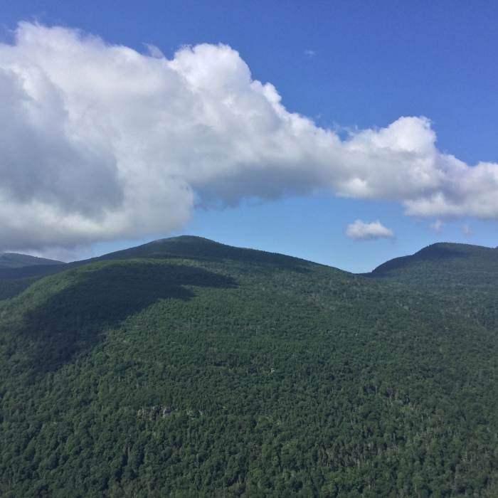 Near Huckleberry Point