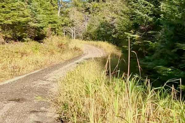 West Falls Creek Road - FS 3015100