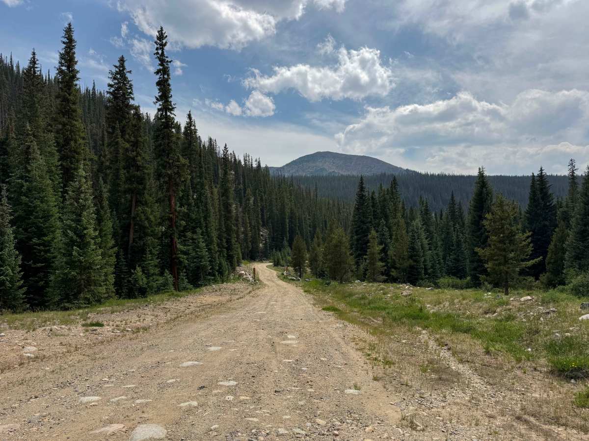 FS 538 trail photo
