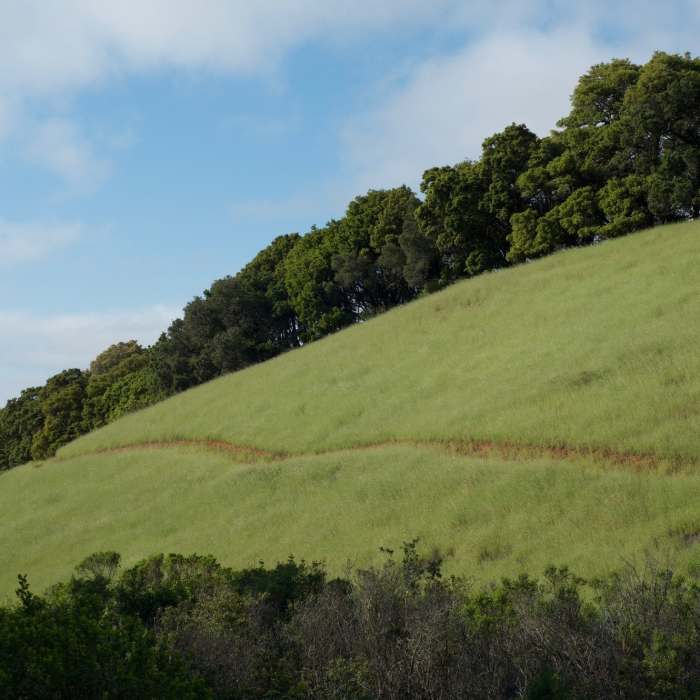 The trail hugs the hillside along a narrow, dirt trail. Near Lost Creek Loop Trail
