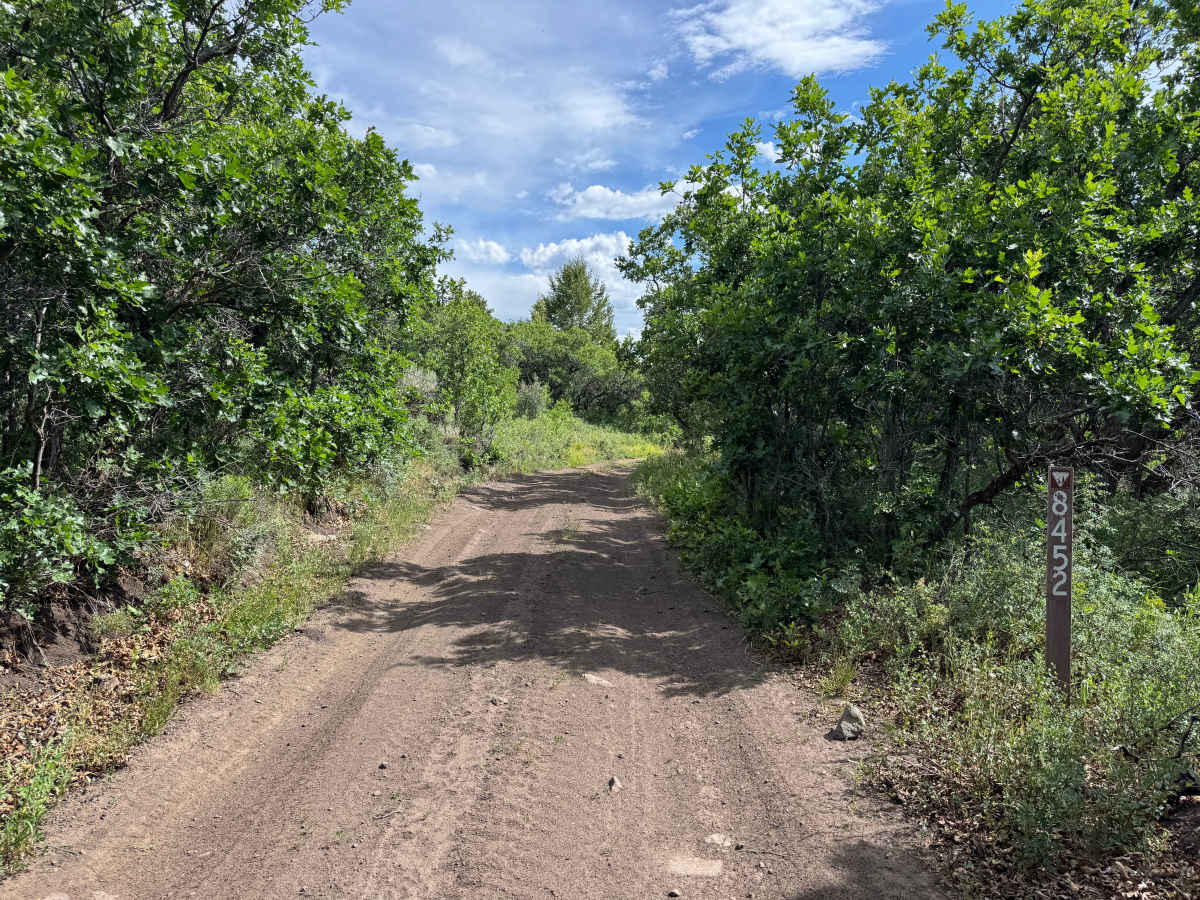 BLM 8452 photo 3