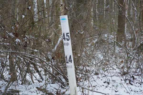 Trail 14