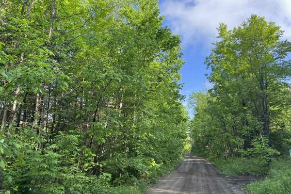 Bonita Road - FS 2112