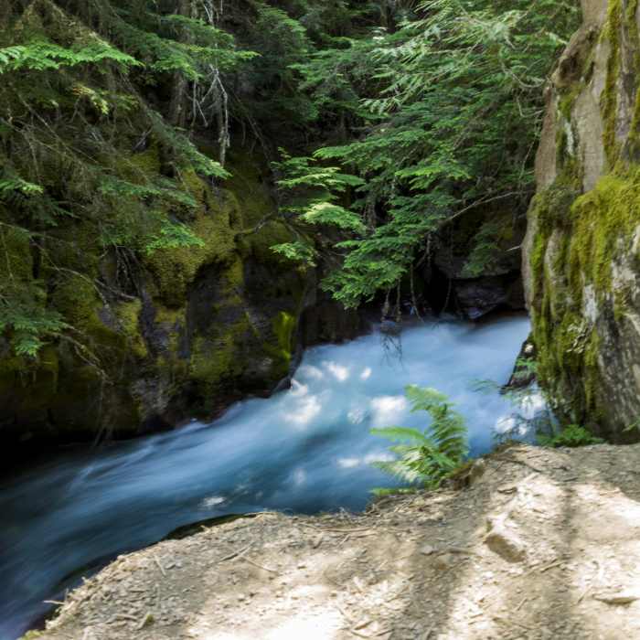 Near Avalanche Lake via Trail of the Cedars