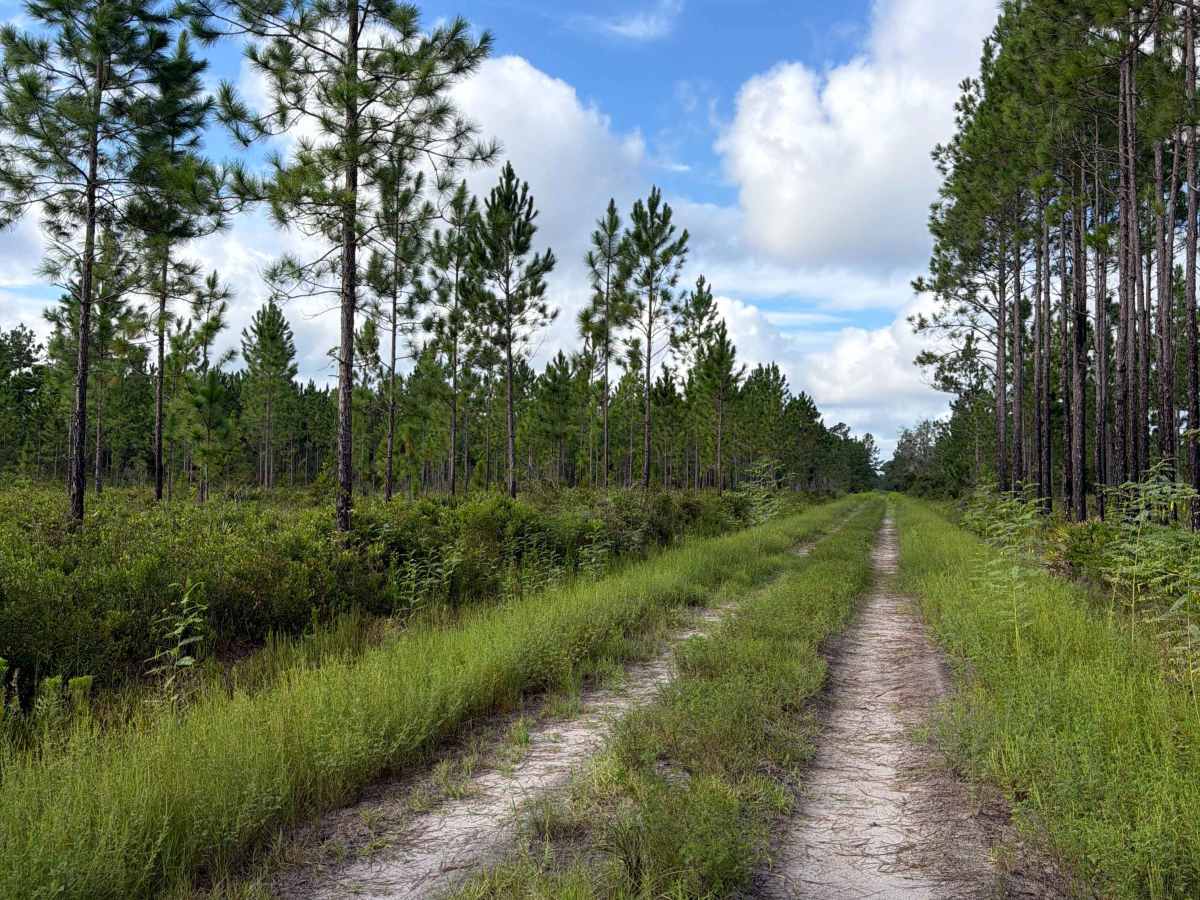 Little Bear Bay - FS 221 photo 2