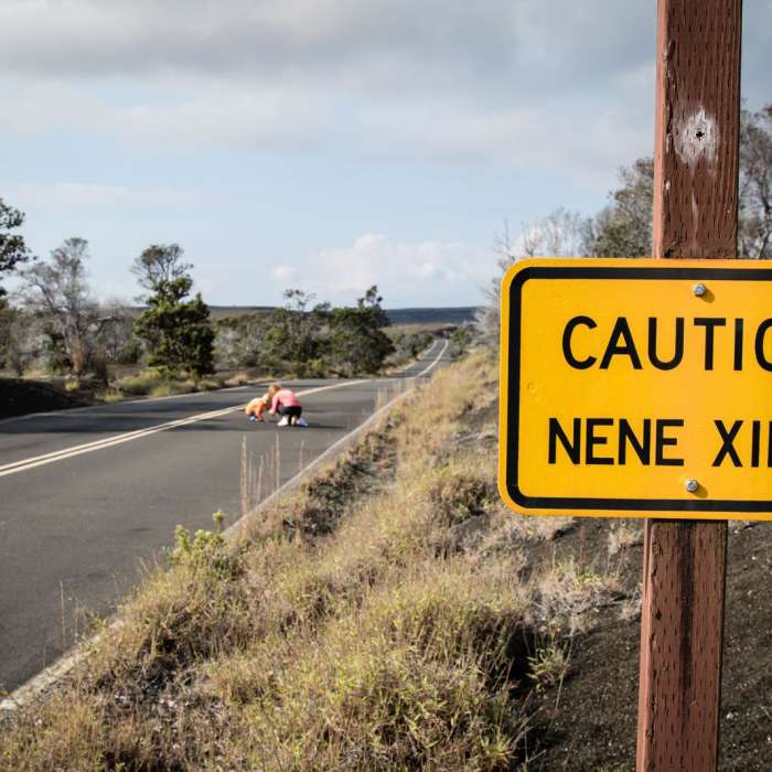 Near Keanakako'i Crater Hike