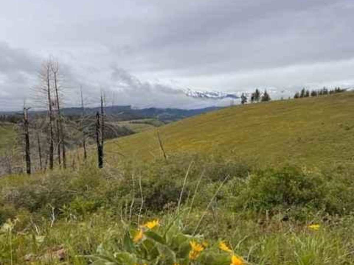 Eagle Creek Vista photo 4